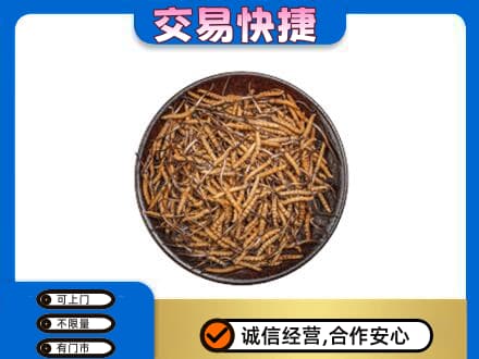 绵阳市回收散虫草